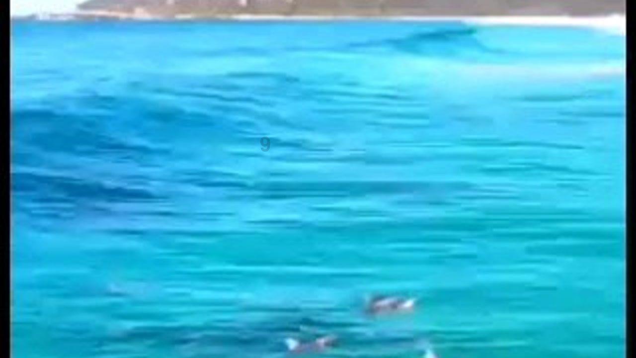 九州海上牧云记